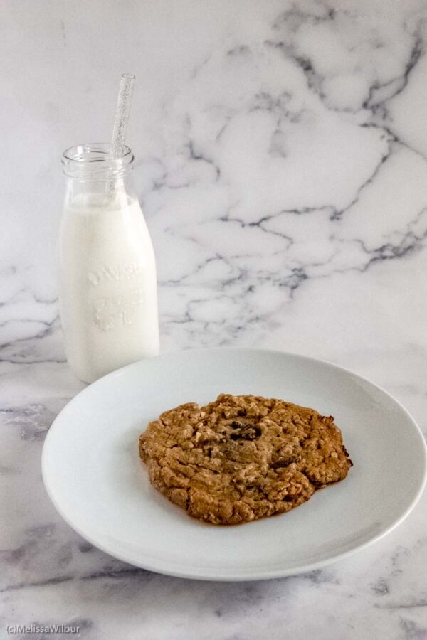 Oatmeal Raisin Cookies - 3 ounces